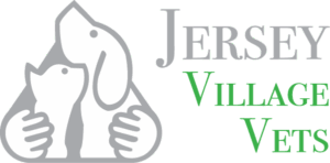 Jersey Village Vets