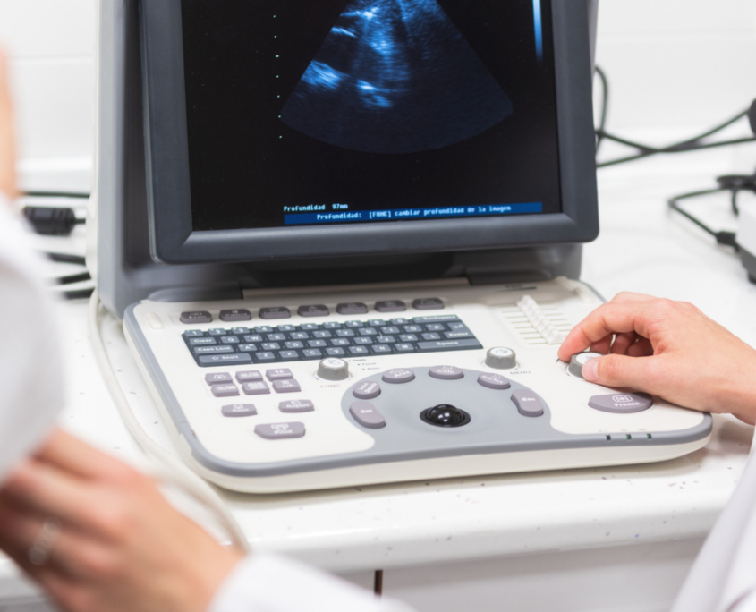 Jersey Village Vets Cardiac Ultrasound