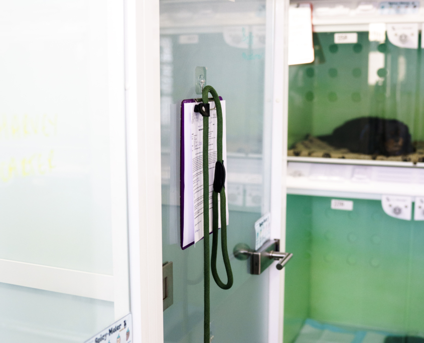 Jersey Village Vets Medical Ward