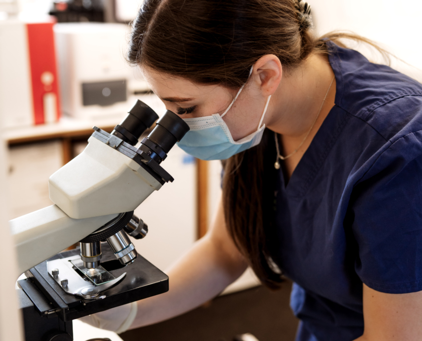 Jersey Village Vets Microscopy