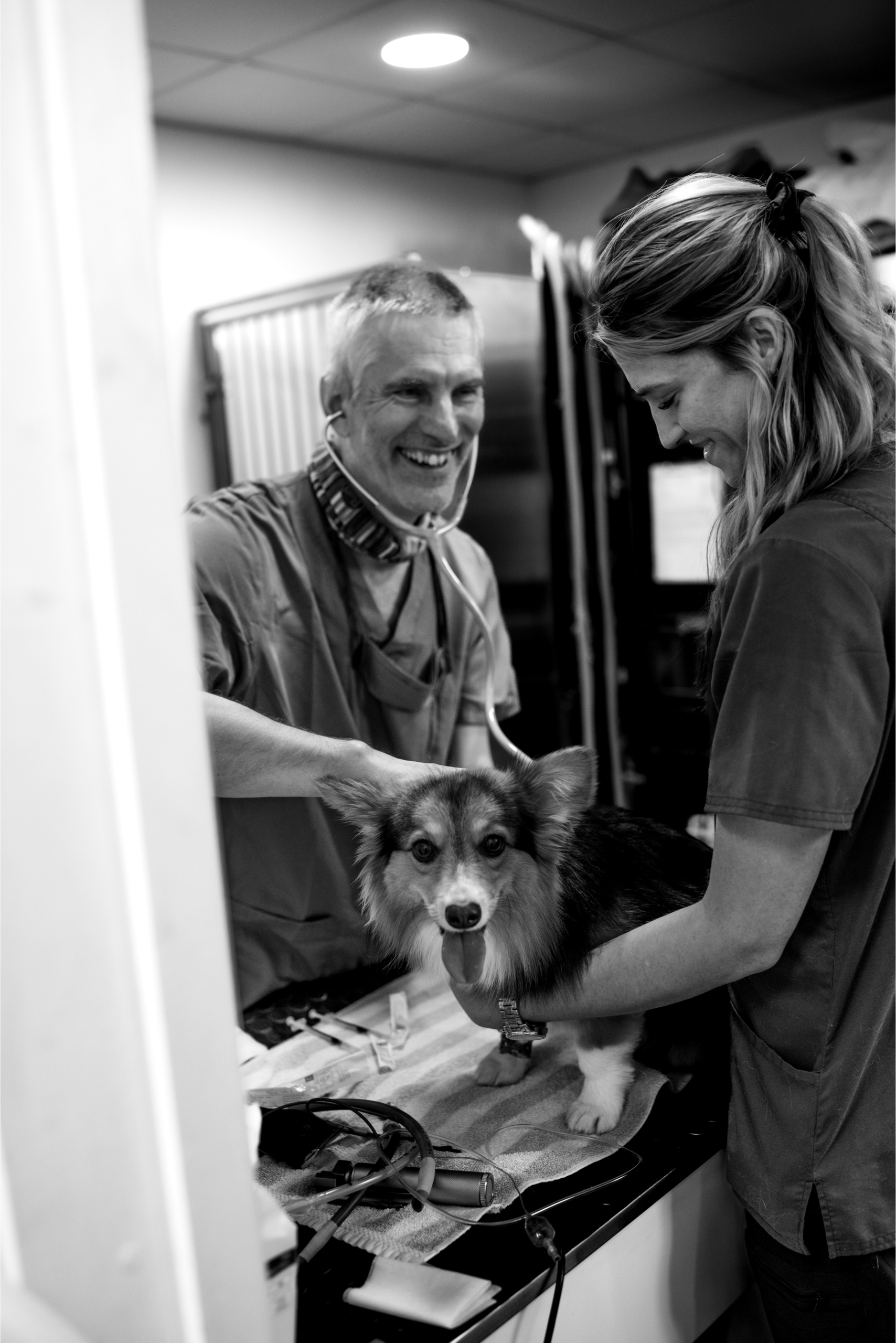 Jersey Village Vets