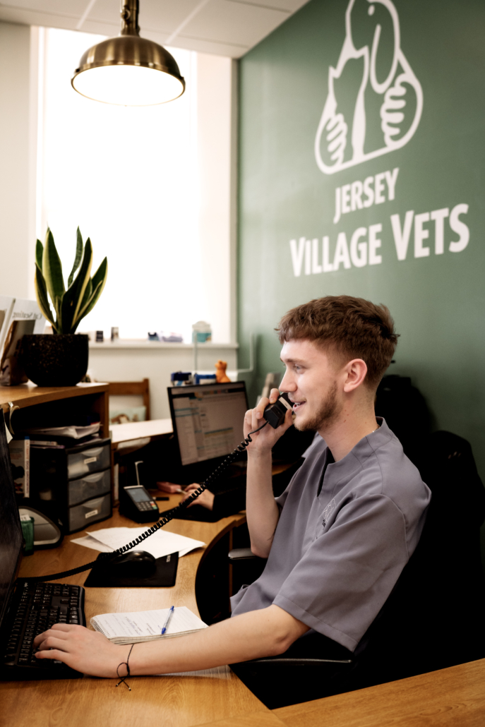 Jersey Village Vets