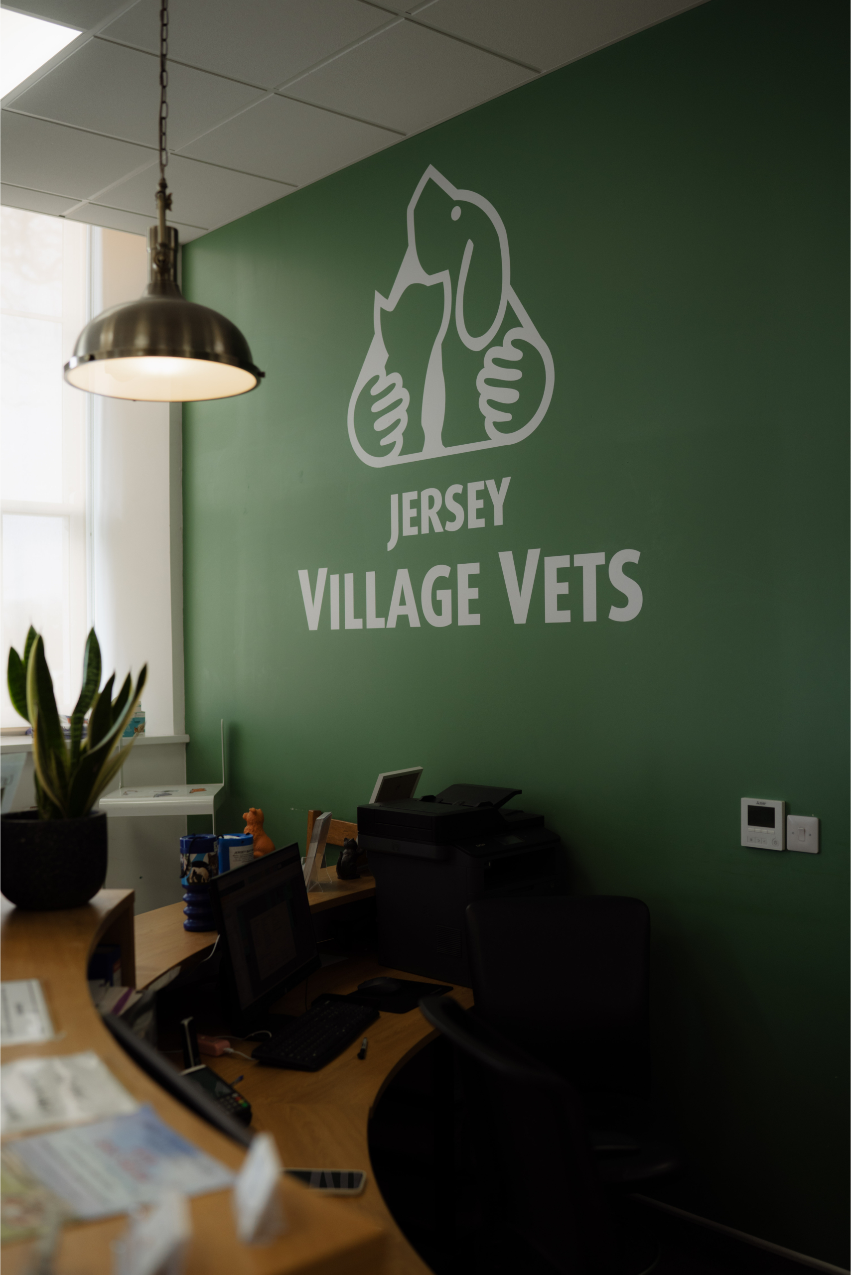 Jersey Village Vets